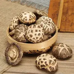 1kg Tea Flower Mushroom 茶花菇
