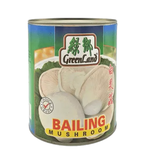850g Bailing Mushroom 百灵菇