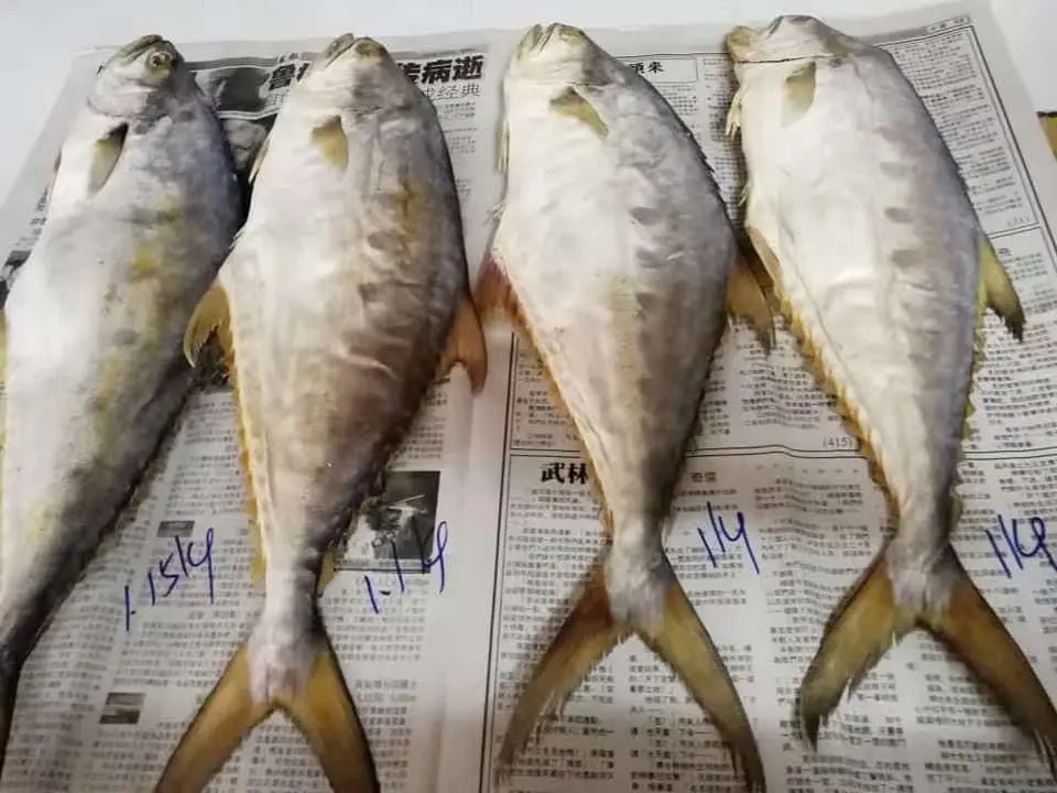 500g Salted Fish 咸鱼
