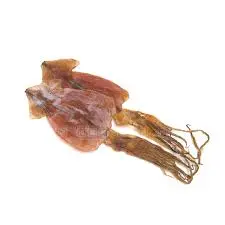 10kg Dried Sotong 鱿鱼乾