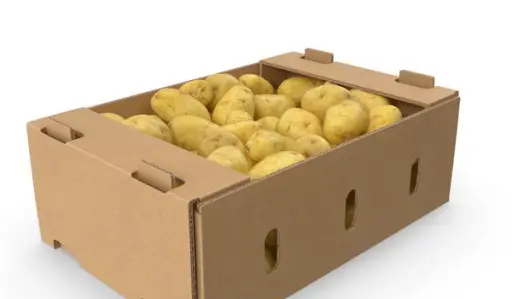 Potato Holland Big Box