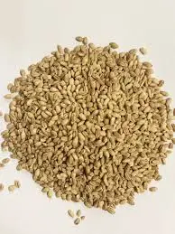 25kg Barley 洋意米