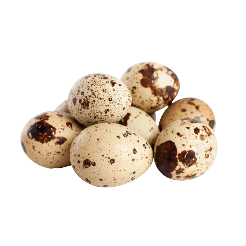 Quail Eggs 鹌鹑蛋