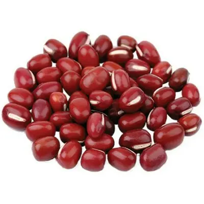 25kg TianJin Large Red Bean 天津红豆(大)