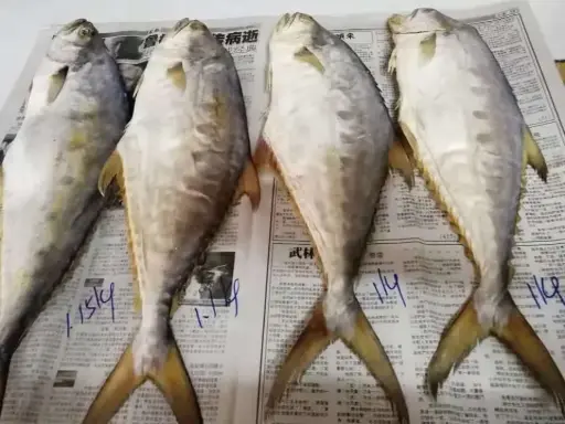 [DrySeaFood.PkFd_030] 500g DL Salted Fish 丹劳咸鱼