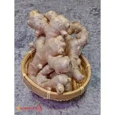 [Ginger.PkFd_002] 10kg Old Ginger