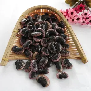 [Beans.PkFd_012] 25kg Black Bean 9.0MM 青仁乌豆（特大类）