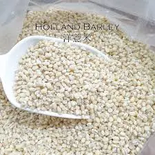 [Seeds.PkFd_006] 1kg Holland Barley 洋意米